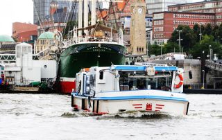 iris_abicht-1  - iris1 1440x1080 320x202 - IRIS ABICHT