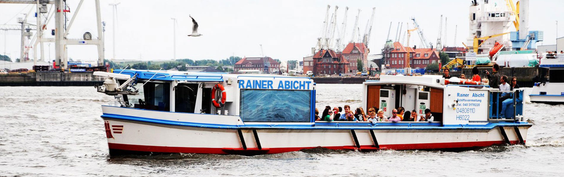 rainer_abicht  - rainer abicht - RAINER ABICHT